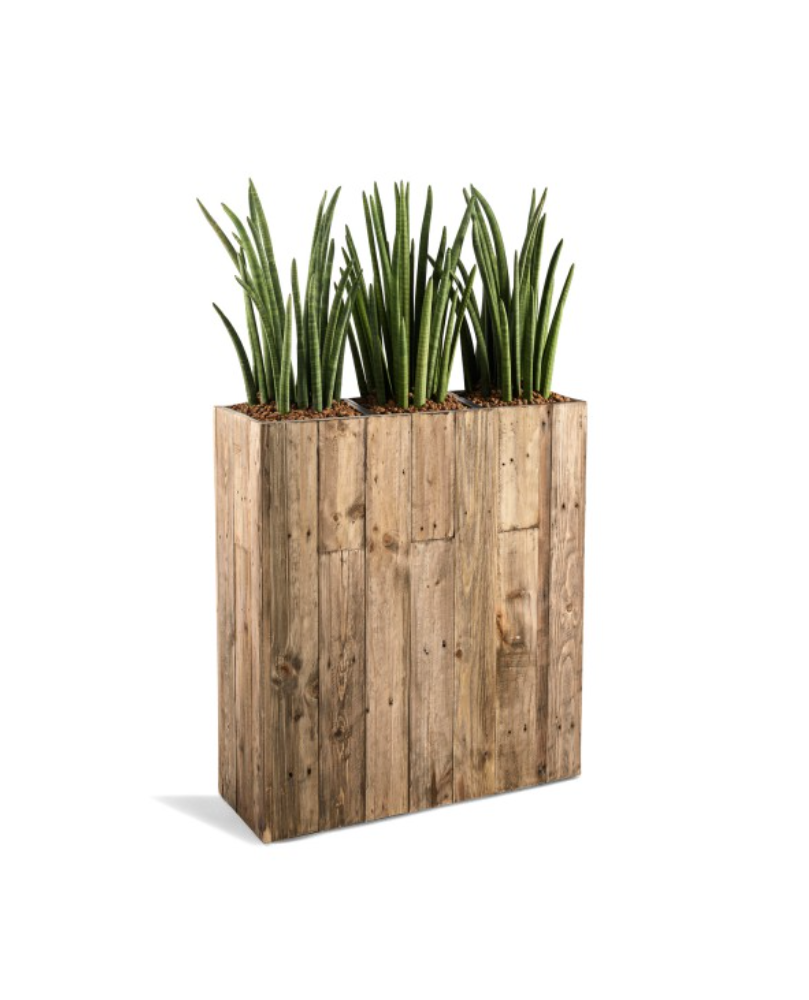 Room Divider Hire Berlin, Flower Design, Venue Decor Rental Germany