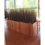 artificial-plant-hire-berlin-room-divider-space-divider-event-rental-company