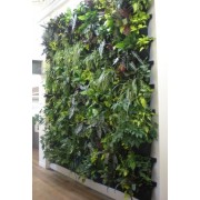 living-wall-rental-Berlin-green-plants-wall-hire-event-trade-show