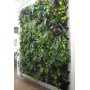 living-wall-rental-Berlin-green-plants-wall-hire-event-trade-show