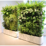 living-wall-hire-Berlin-green-plants-wall-rental-Germany