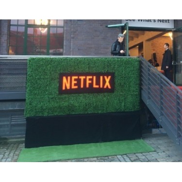 instant-hedge-hire-Berlin-rent-artificial-hedges-fake-grass-Germany